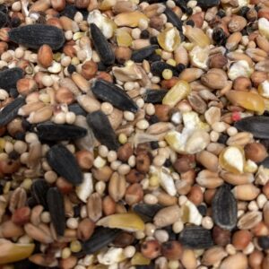 Strooivoer van gevarieerde zaden en pitten, geschikt voor buitenvogels